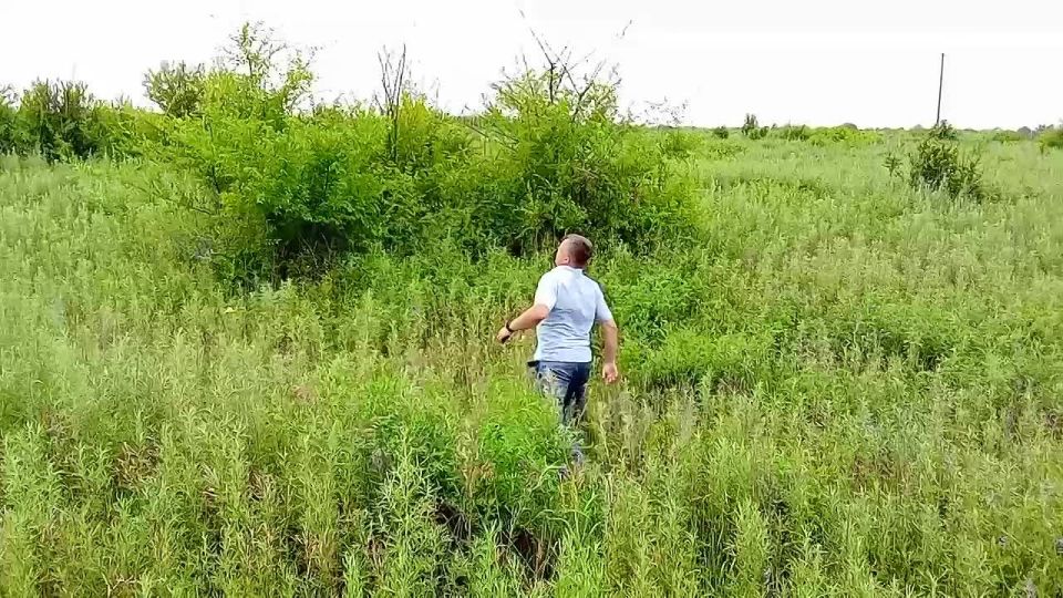    :       