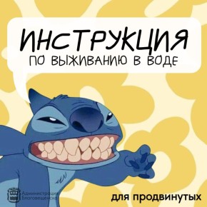   :     