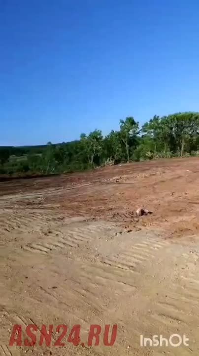   :      
