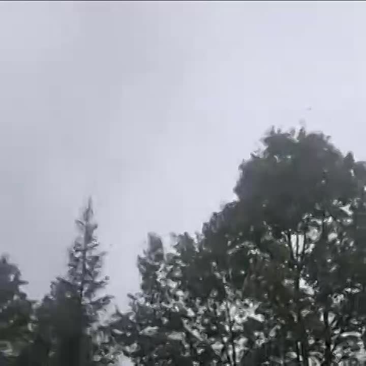      -24,     , ,   