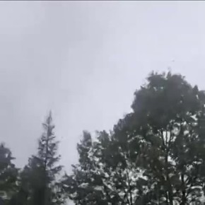      -24,     , ,   