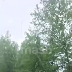    :    -24  &quot;&quot;