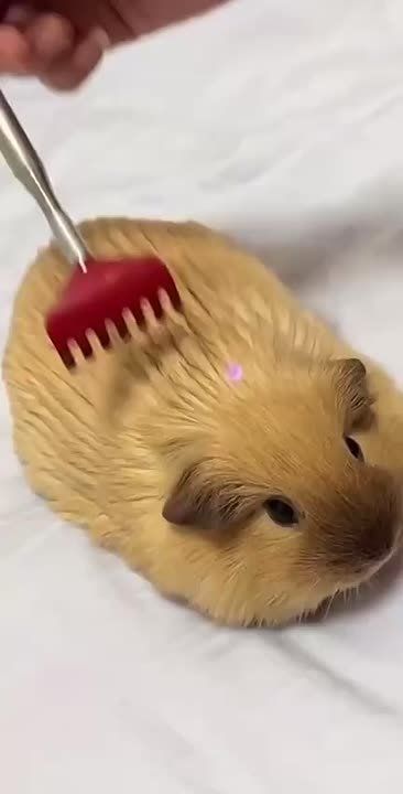  .    !       : 