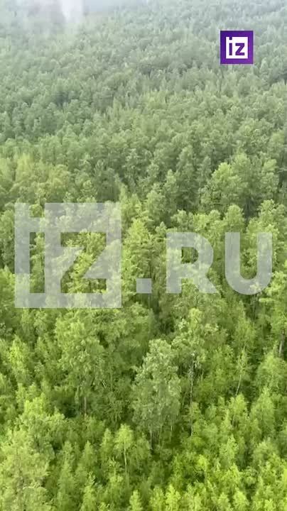   &quot;&quot;  ,         -24,       