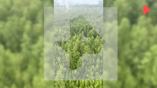                -24