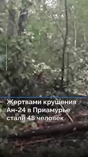   ,    :
