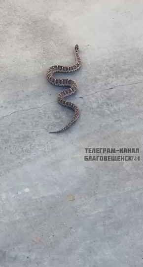    ?:        