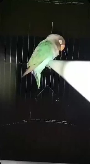  !.     !   