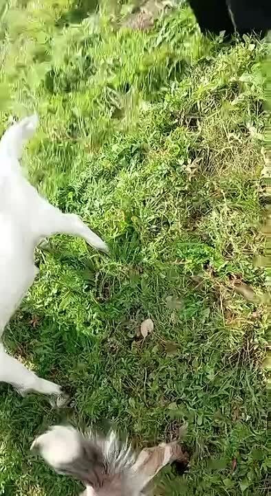          ,   
