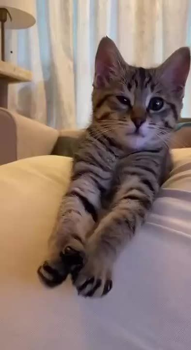  !.   ?!  ,    ,    !
