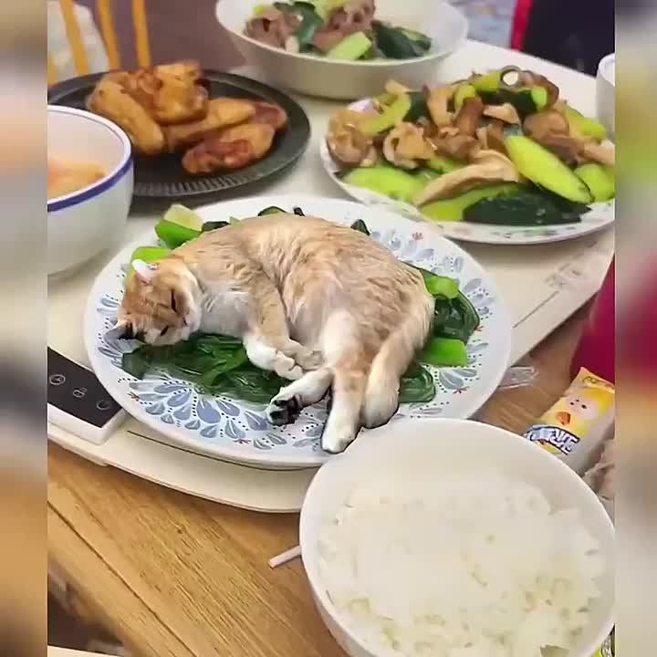  !. ,    