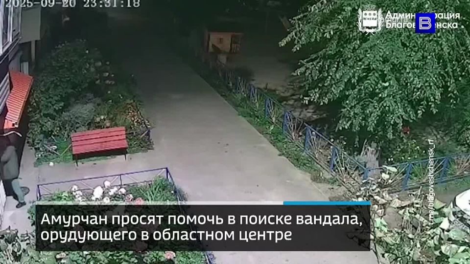        :