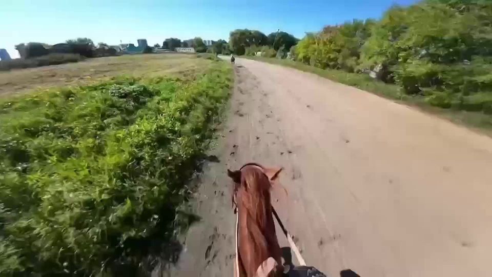    :        