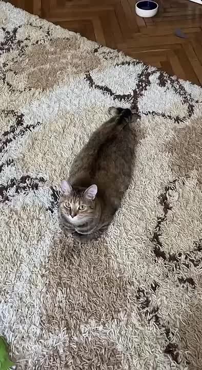  !.    