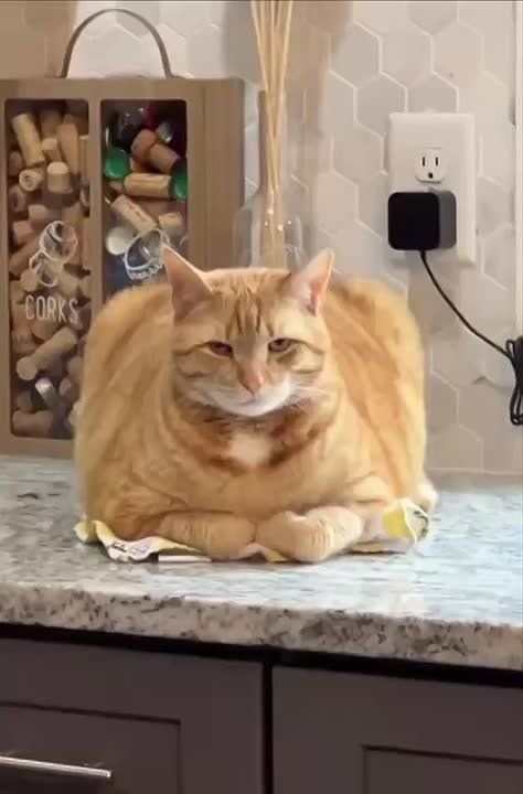 !.    