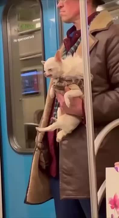  !. ,    ,   ,    