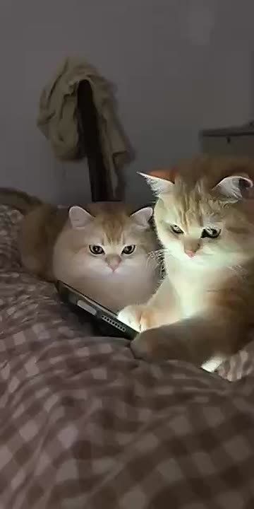  !. ,      