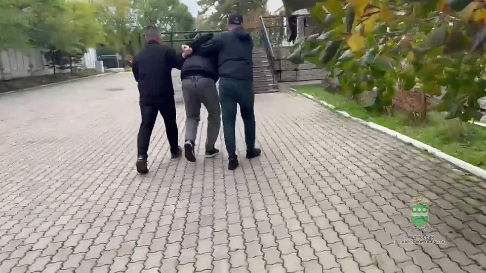     :     ,    