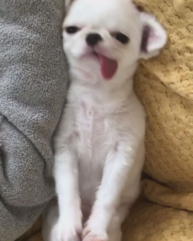 !.     