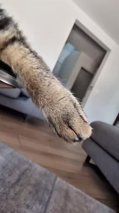 ,      ,     !
