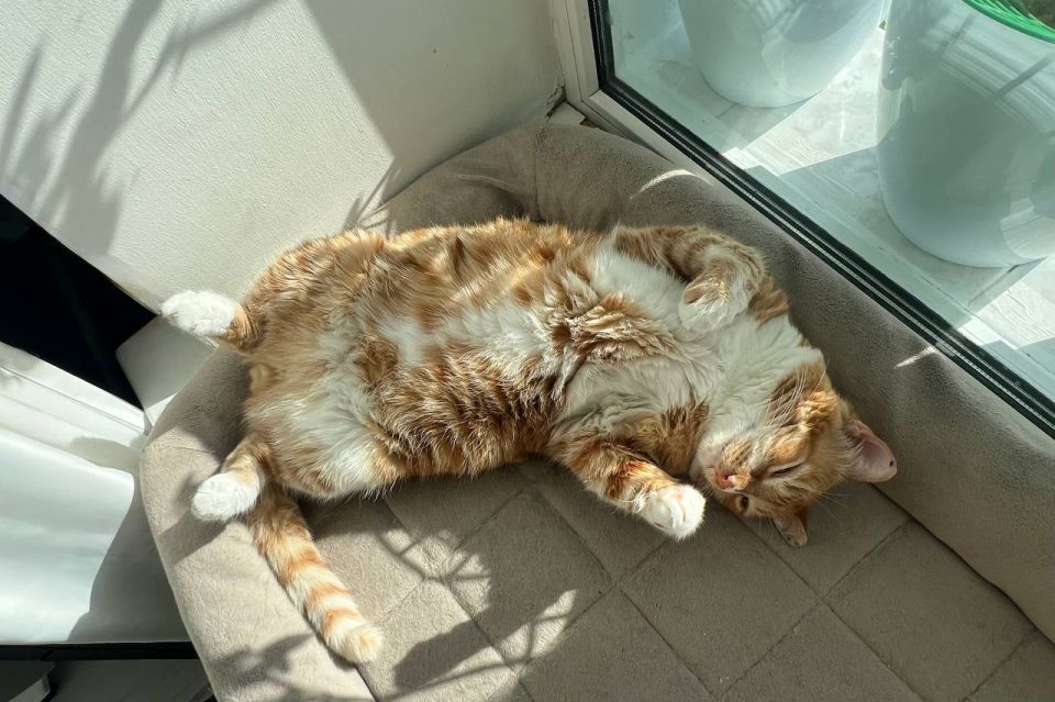  ?!  !