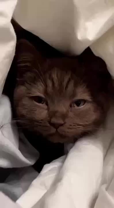  !.   5 ?