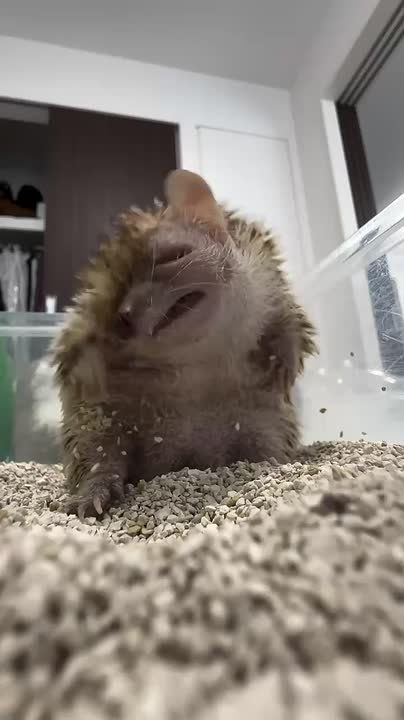  !.     