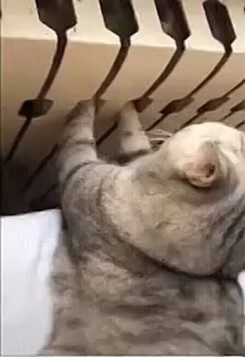   ,      