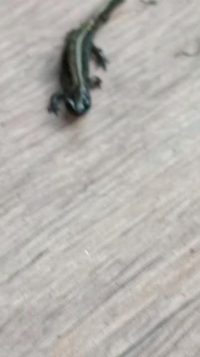  :   
