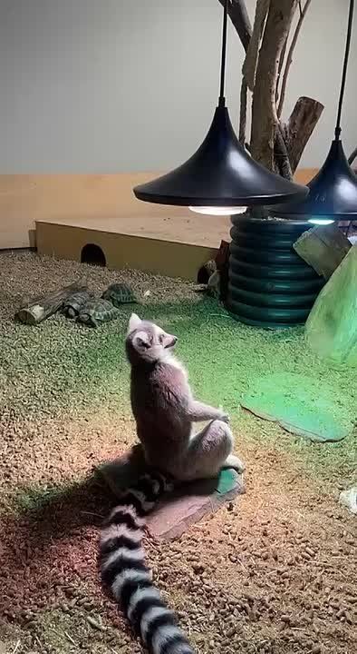  !.     