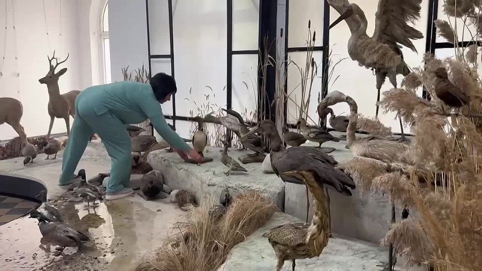        :     
