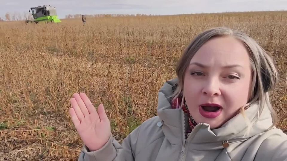    :     