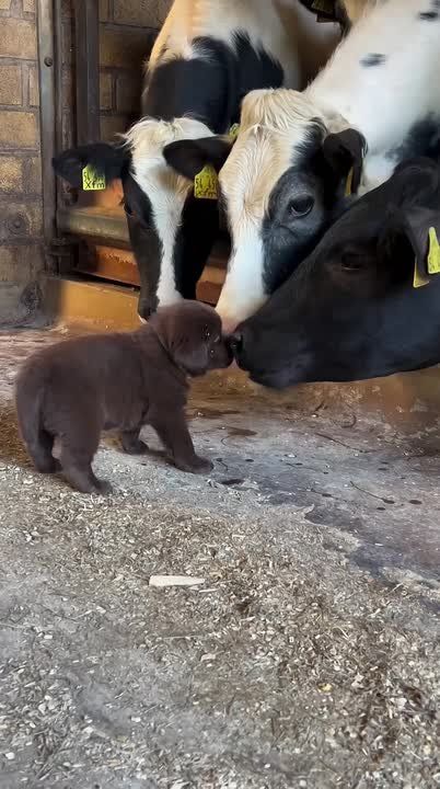  !.    !