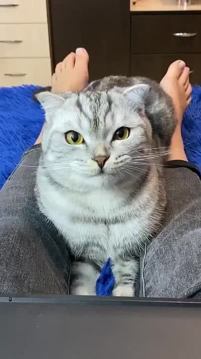  !.    :   !