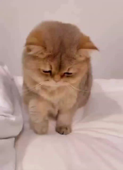  ?!  !