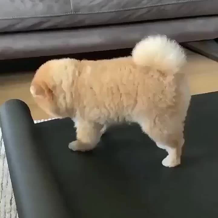  !.    ?