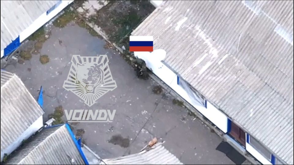   :     
