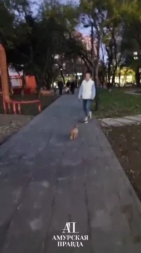    :         