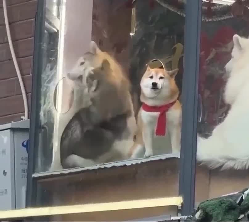  !.      ,        