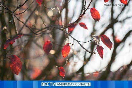  13 :        22 