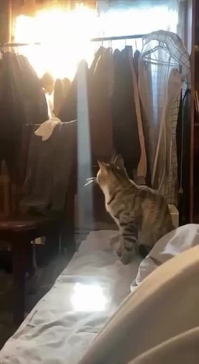  !.   ,    