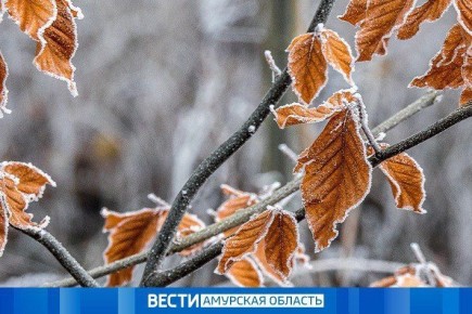     -21:    14   