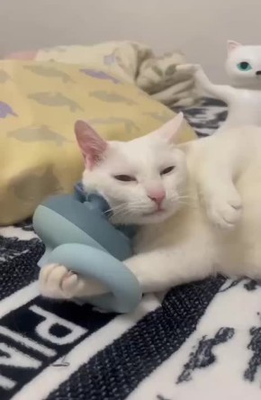  !.       