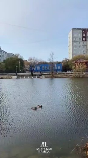     :          