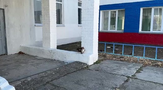   :    ,      