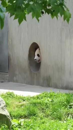  !.     
