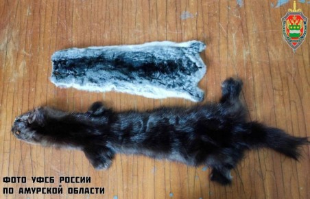  10      :       