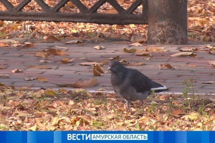     - 15