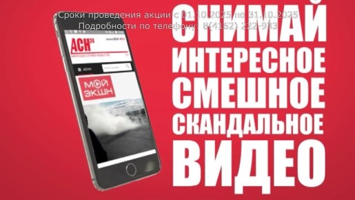 «За стеклом»: нахальные благовещенские голуби регулярно устраивают себе реалити-шоу на окне многоэтажки