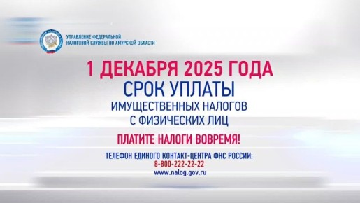 Благовещенцы, не копите пени! Успейте заплатить налог до 1 декабря